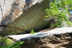 Tiny tree making a go of it under a threatening slab of granite
