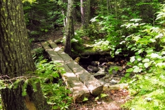 Appalachian Trail logs across a stream bed