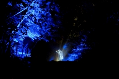 Hologram: Margaret meets the fairies
