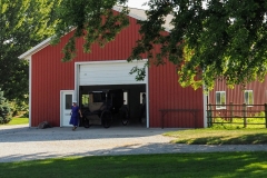 Carting the buggy out of the barn